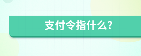 支付令指什么?