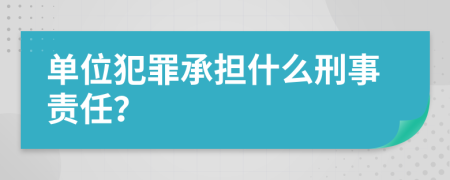 单位犯罪承担什么刑事责任？