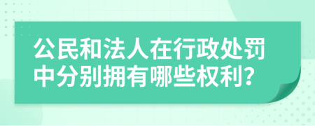 公民和法人在行政处罚中分别拥有哪些权利？