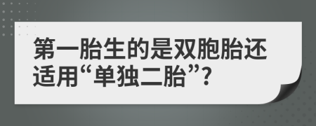 第一胎生的是双胞胎还适用“单独二胎”?