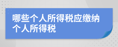 哪些个人所得税应缴纳个人所得税