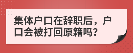 集体户口在辞职后，户口会被打回原籍吗？