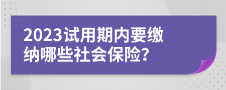 2023试用期内要缴纳哪些社会保险？