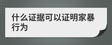 什么证据可以证明家暴行为