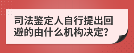 司法鉴定人自行提出回避的由什么机构决定？