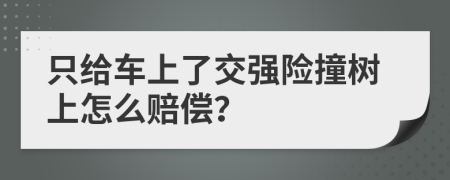 只给车上了交强险撞树上怎么赔偿？