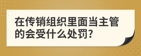 在传销组织里面当主管的会受什么处罚?