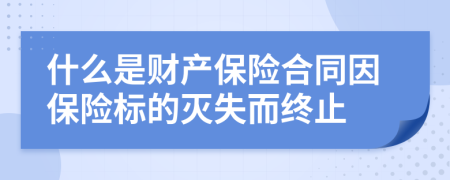 什么是财产保险合同因保险标的灭失而终止