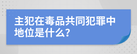 主犯在毒品共同犯罪中地位是什么？