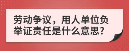 劳动争议，用人单位负举证责任是什么意思?