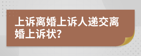 上诉离婚上诉人递交离婚上诉状？