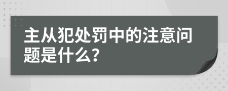 主从犯处罚中的注意问题是什么？