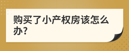 购买了小产权房该怎么办?