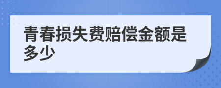 青春损失费赔偿金额是多少