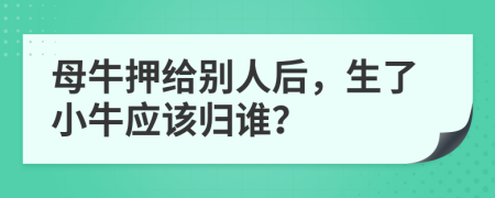 母牛押给别人后，生了小牛应该归谁？