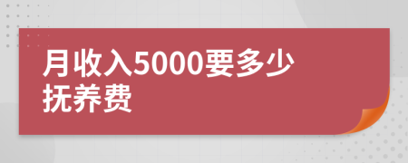 月收入5000要多少抚养费