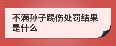 不满孙子踢伤处罚结果是什么