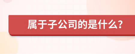 属于子公司的是什么？