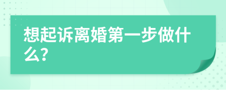 想起诉离婚第一步做什么？