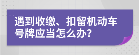遇到收缴、扣留机动车号牌应当怎么办？