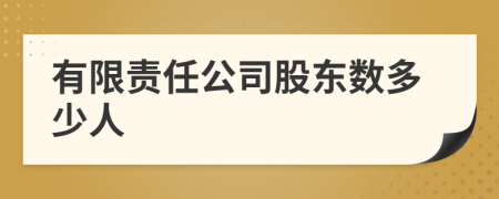 有限责任公司股东数多少人