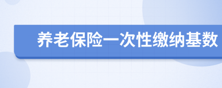 养老保险一次性缴纳基数