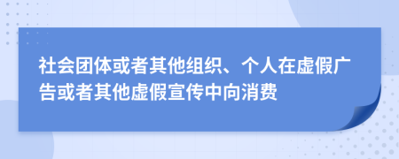 社会团体或者其他组织、个人在虚假广告或者其他虚假宣传中向消费