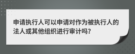 申请执行人可以申请对作为被执行人的法人或其他组织进行审计吗？