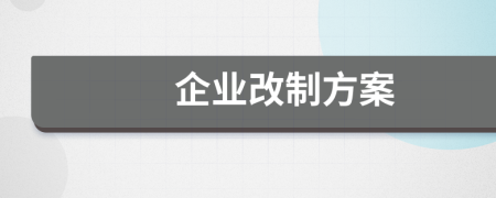 企业改制方案