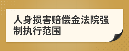 人身损害赔偿金法院强制执行范围