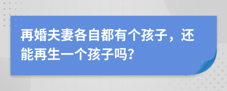 再婚夫妻各自都有个孩子，还能再生一个孩子吗？