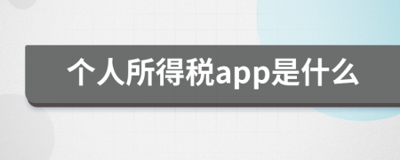 个人所得税app是什么