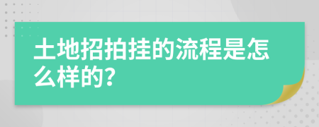 土地招拍挂的流程是怎么样的？