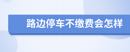 路边停车不缴费会怎样