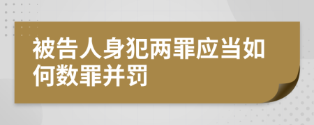 被告人身犯两罪应当如何数罪并罚