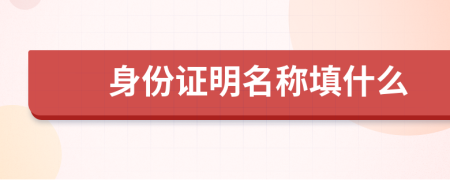 身份证明名称填什么