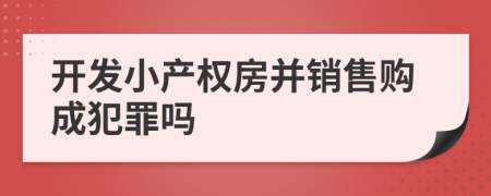 开发小产权房并销售购成犯罪吗