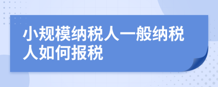 小规模纳税人一般纳税人如何报税