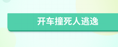 开车撞死人逃逸