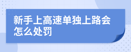 新手上高速单独上路会怎么处罚