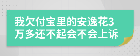 我欠付宝里的安逸花3万多还不起会不会上诉