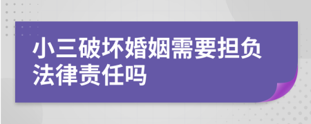 小三破坏婚姻需要担负法律责任吗