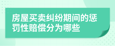 房屋买卖纠纷期间的惩罚性赔偿分为哪些