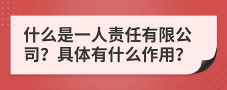 什么是一人责任有限公司？具体有什么作用？