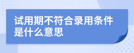 试用期不符合录用条件是什么意思