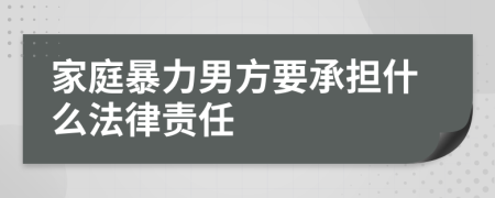 家庭暴力男方要承担什么法律责任