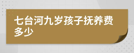 七台河九岁孩子抚养费多少