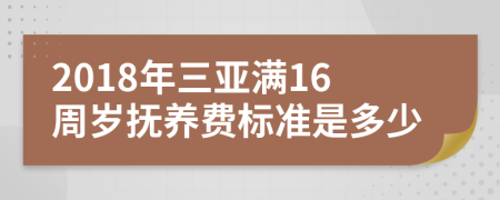 2018年三亚满16周岁抚养费标准是多少