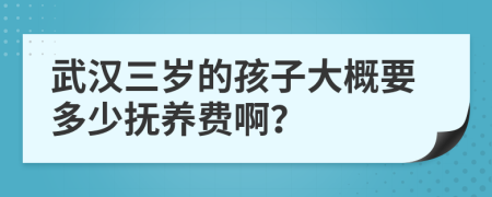 武汉三岁的孩子大概要多少抚养费啊？