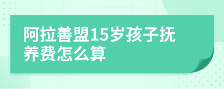 阿拉善盟15岁孩子抚养费怎么算